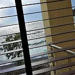 Thalassa فيلة *